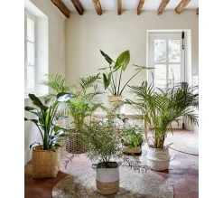 Vente flash 👍 TIME Panier rond TAO Blanc 👏