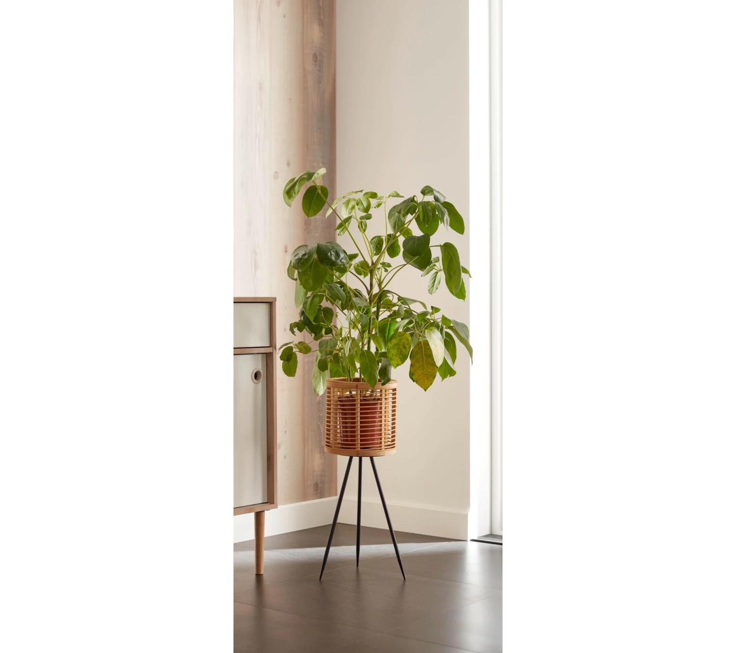 Offres 😉 TIME Cache pot pied H.59 cm LOUNA Naturel 🎁 – Image 5