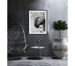 Meilleur prix ✨ TIME Image 50x70 cm ELEPHANT CORBEAU Noir 🧨