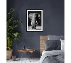 Offres ❤️ TIME Image 50x70 cm ELEPHANT Noir 🔥