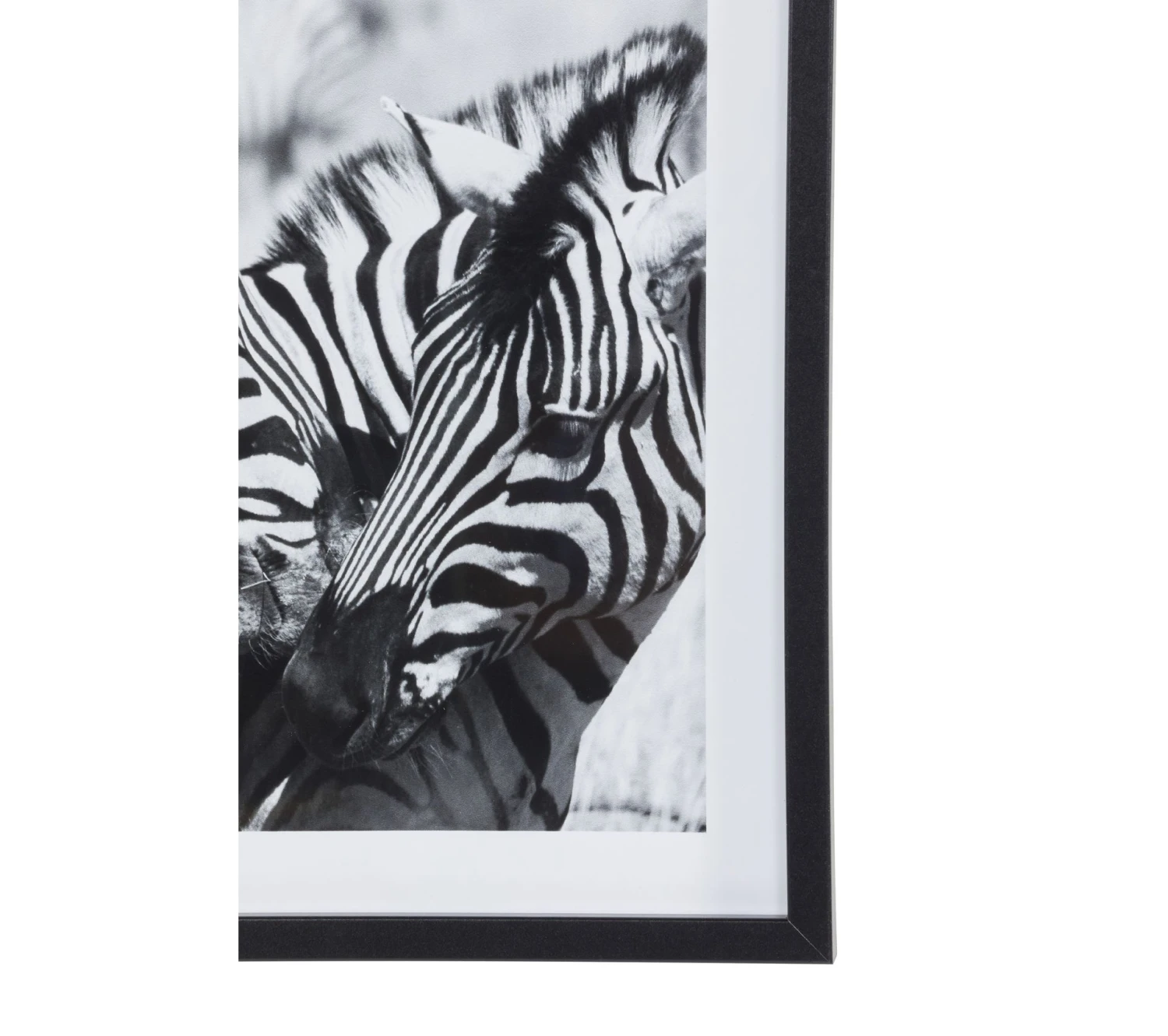 De gros ✨ TIME Image 30x40 cm ZEBRES CALIN Noir / Blanc ⌛ – Image 5