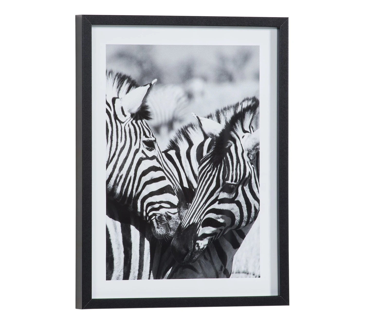 De gros ✨ TIME Image 30x40 cm ZEBRES CALIN Noir / Blanc ⌛ – Image 3